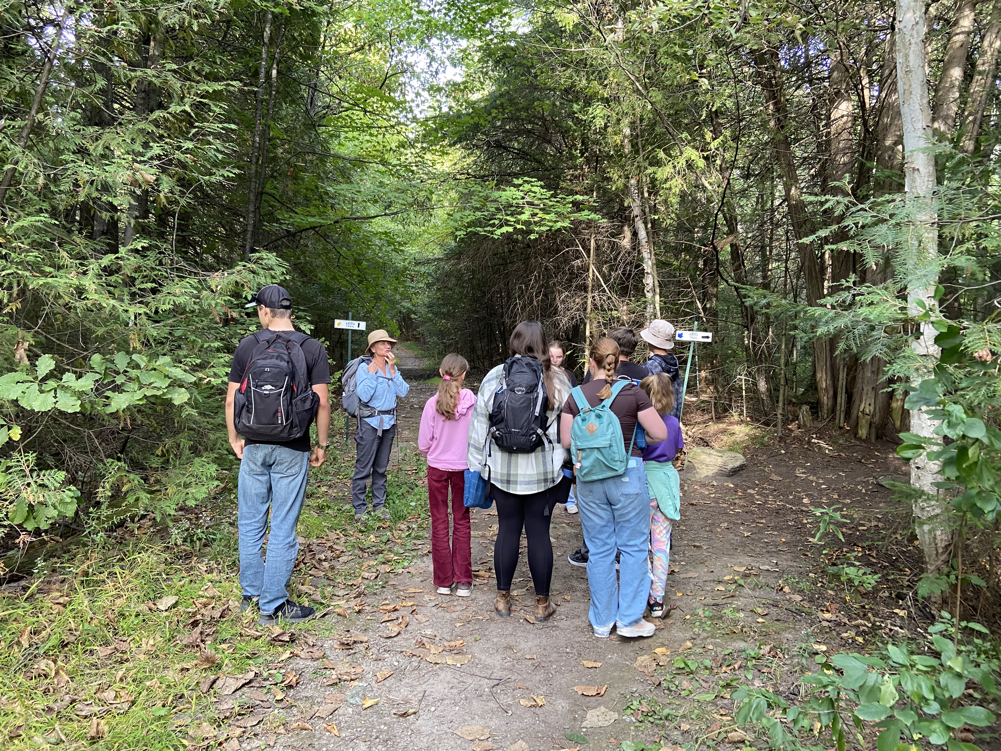 2025 August forest walk (2) Image