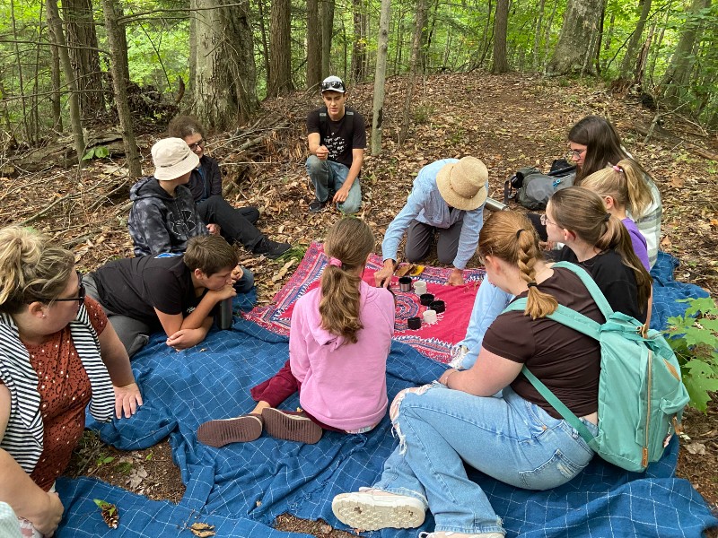 August 2025 forest walk Image