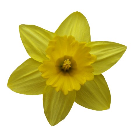 2025 August forest walk (2) Image